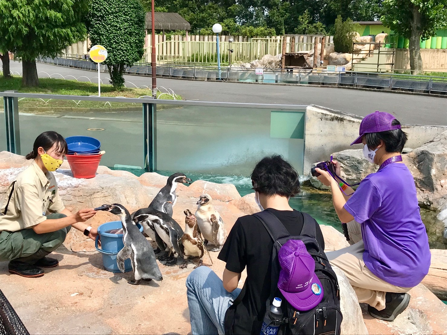 たまらなく いとおしい動物たち みやしろで暮らそっ